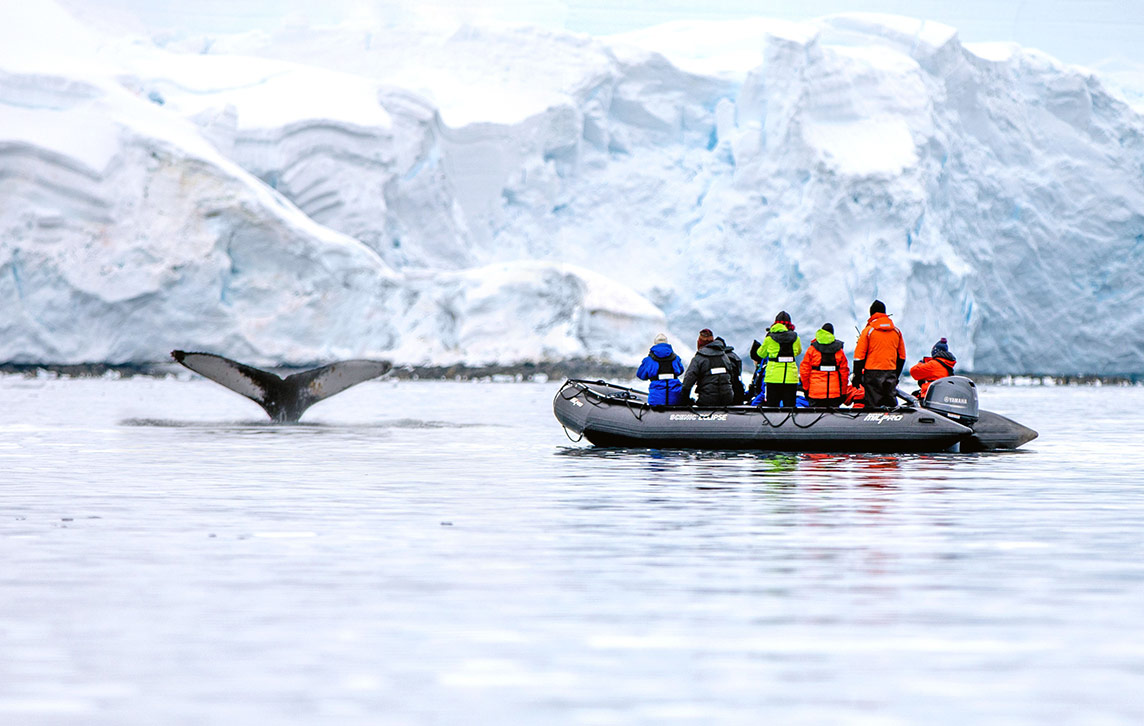 Zodiac excursion in Fournier Bay, Antarctica