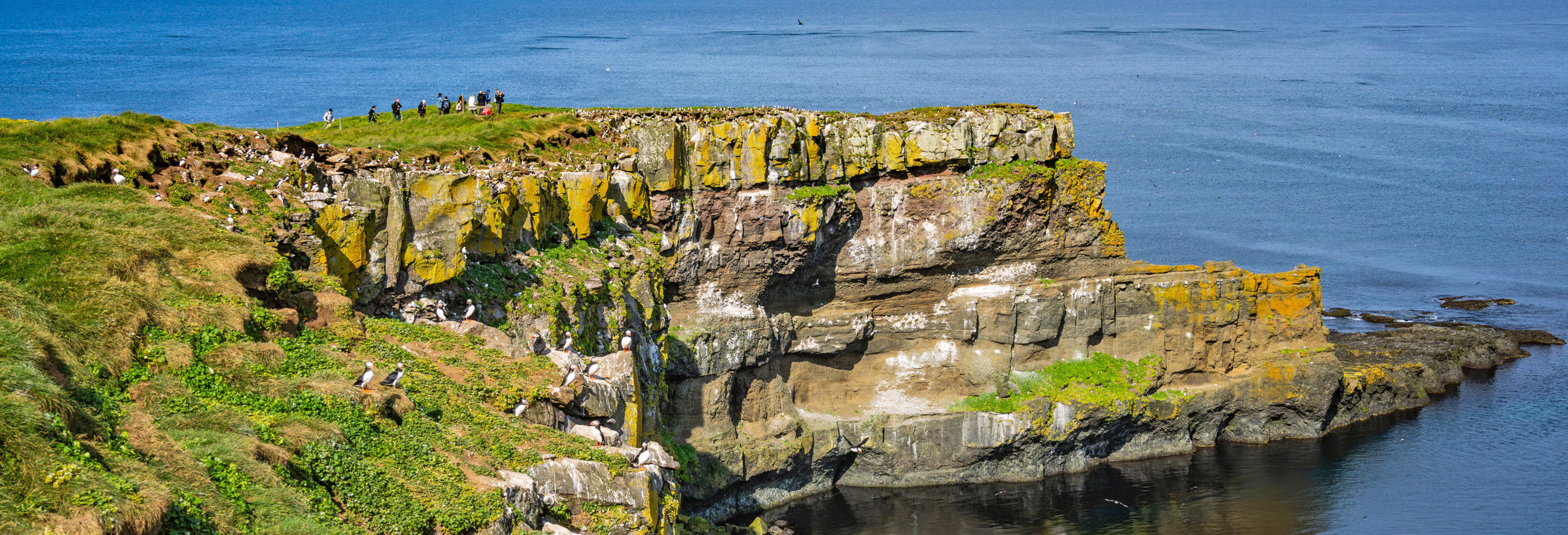 Explore Grímsey Island’s cliff tops