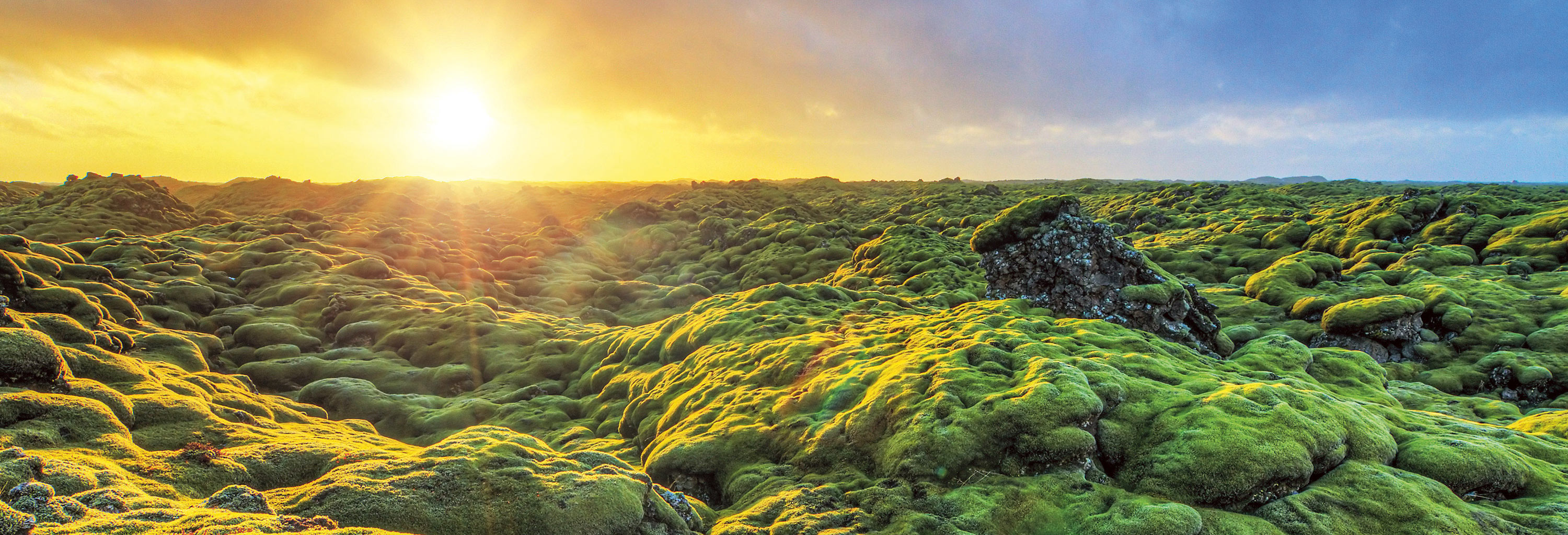 Discover Iceland’s lava fields 