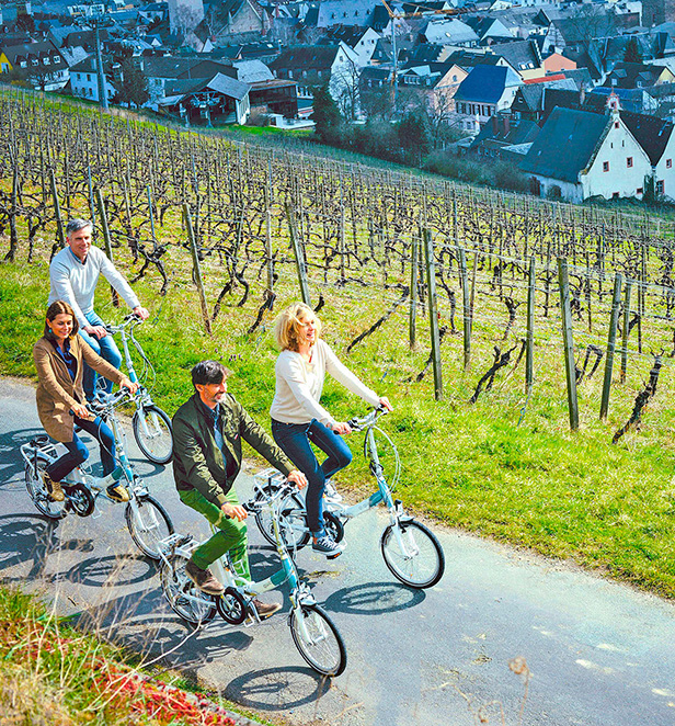 Scenic guests riding e-bikes in Rudesheim, Germany