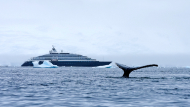 A whale tail emerges from the water with Scenic Eclipse in the distance, showcasing the beauty of marine life in a scenic setting.