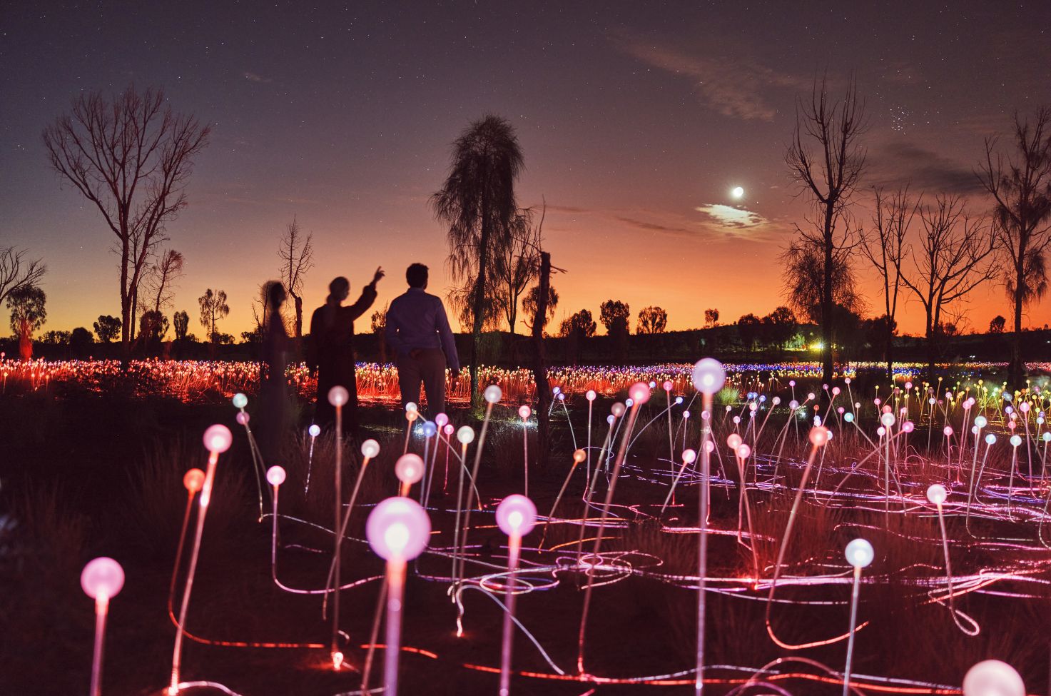 Exploring Field of Light, Uluru