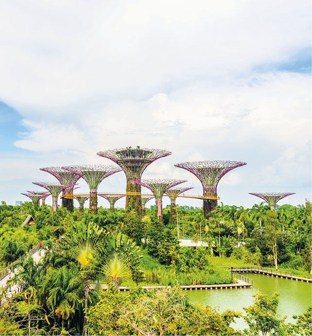 Lush green gardens in the Gardens by the Bay in Singapore