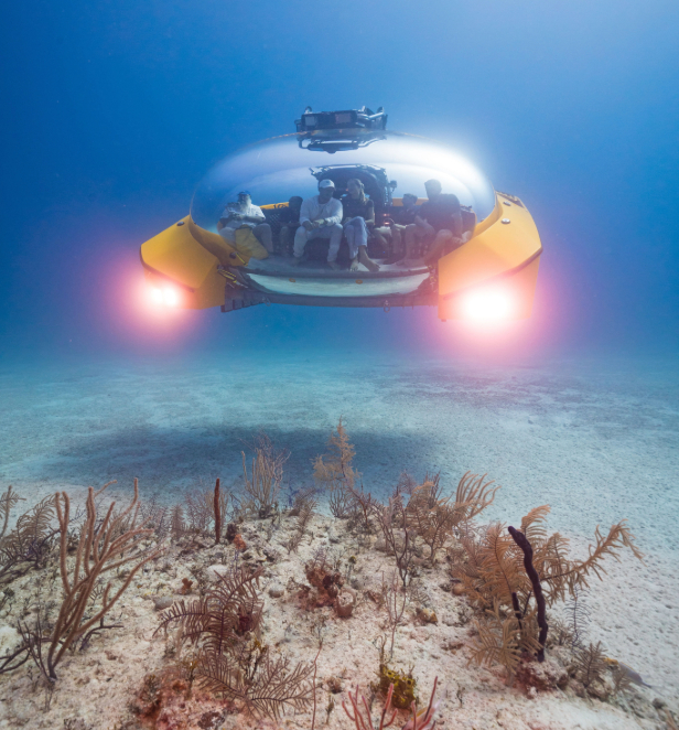 Scenic Neptune Submersible underwater.