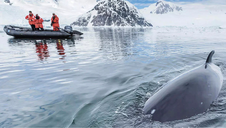 A whale in the water surrounded by ice covered mountains and people in a small boat nearby.