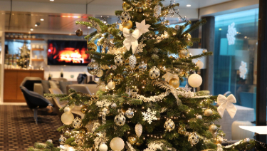 Festive Christmas tree adorned with colorful ornaments and twinkling lights onboard our Scenic Space-Ships