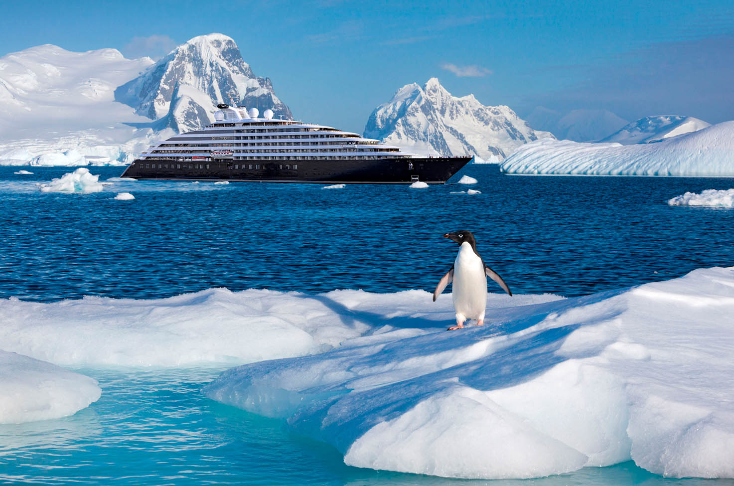 Penguin in foreground on an iceberg with discovery yacht sailing past in the background whilst a blue sky