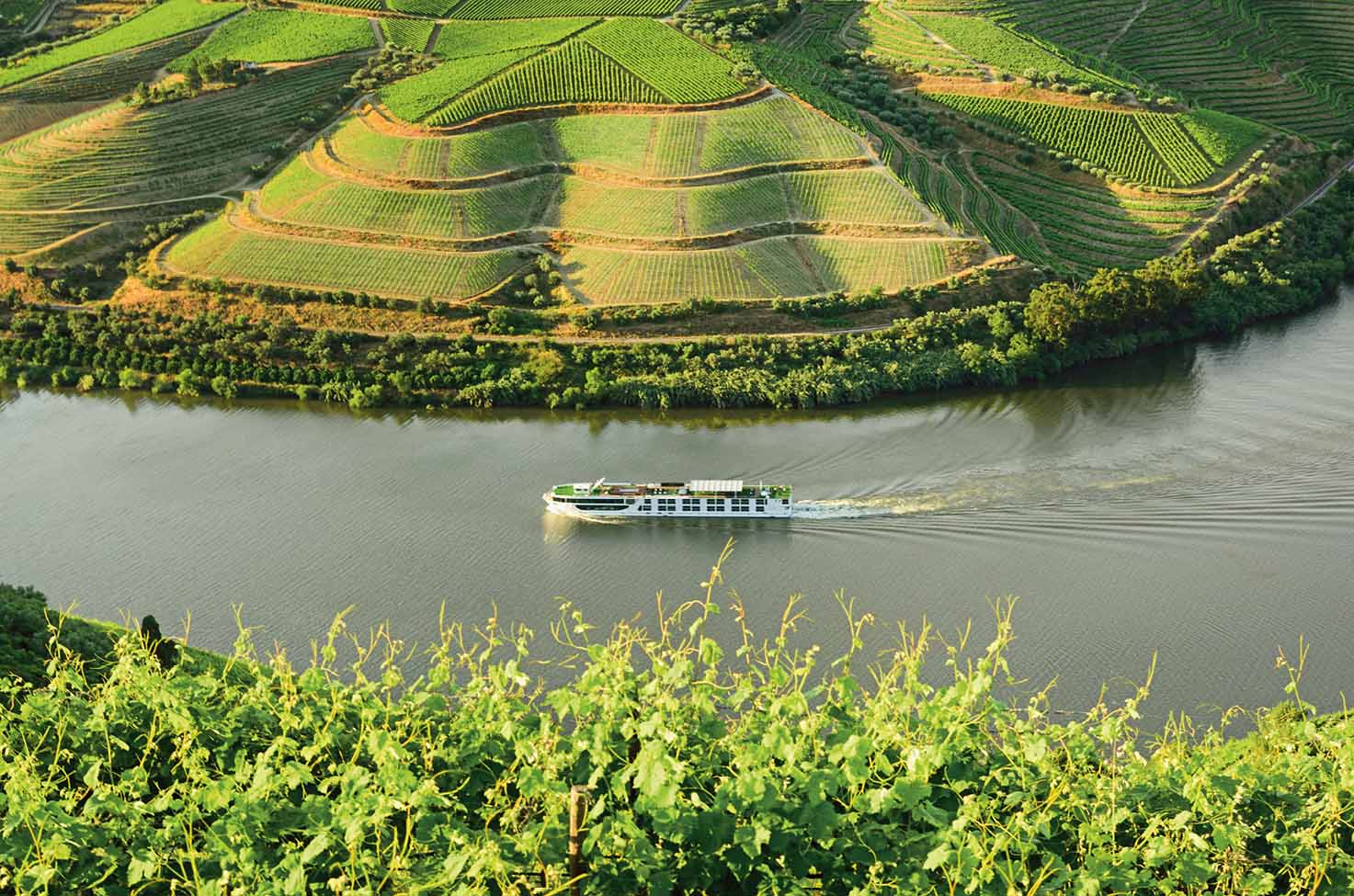 river cruise ship sailing around a bend of the river next to wineries