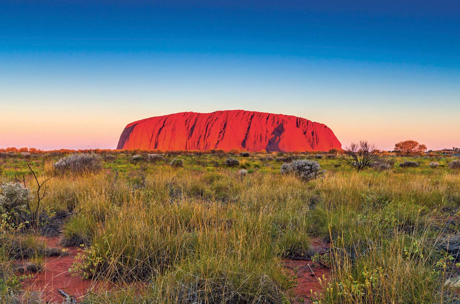 bright red Uluru at sunset