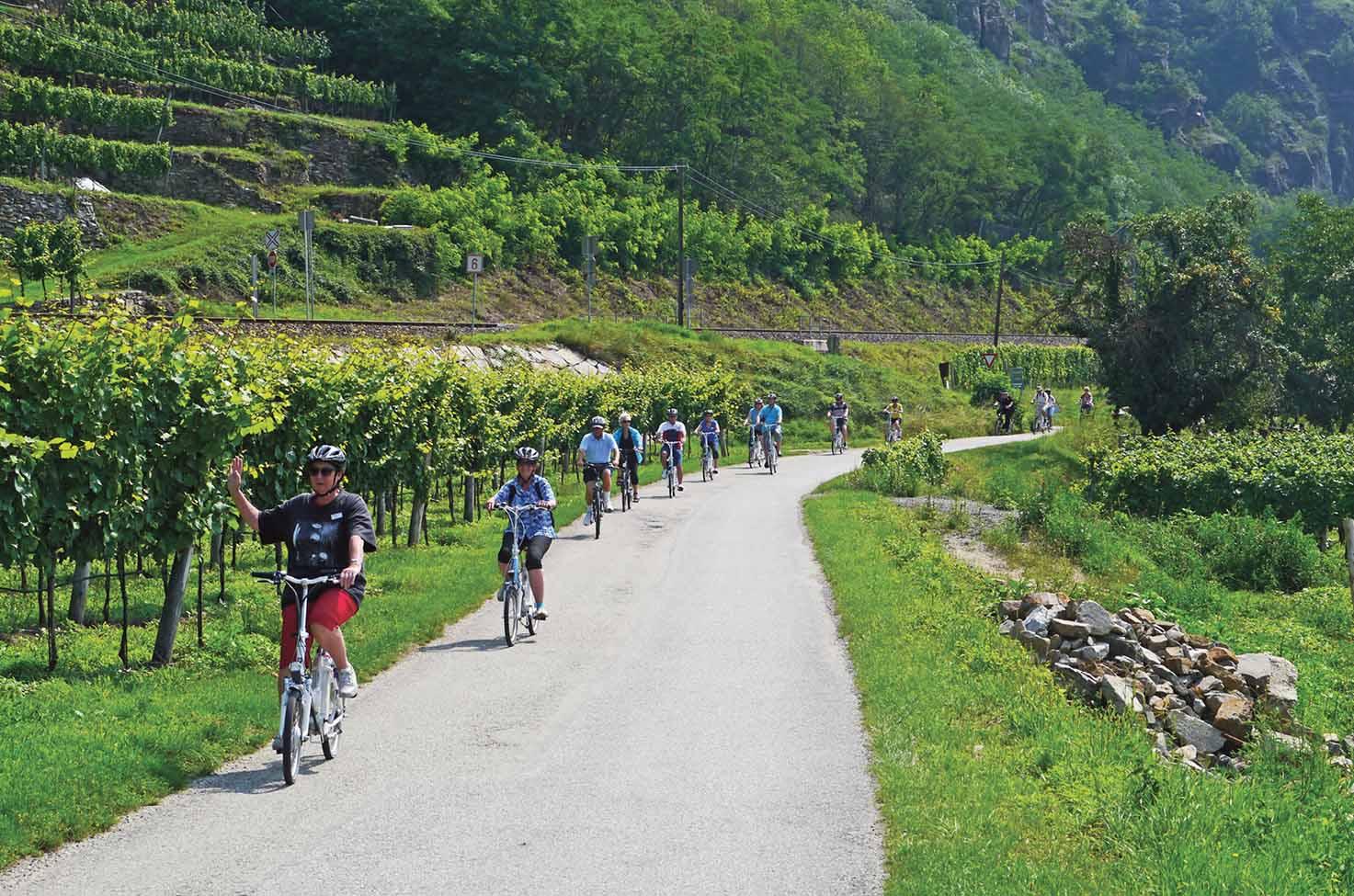 Group of people on a bike ride between vineyards in Austria